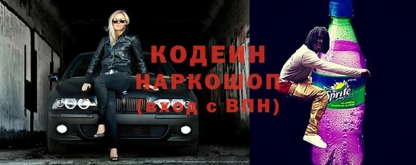 шишки Медвежьегорск