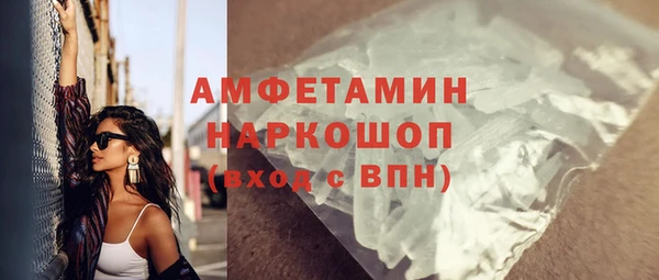 шишки Медвежьегорск