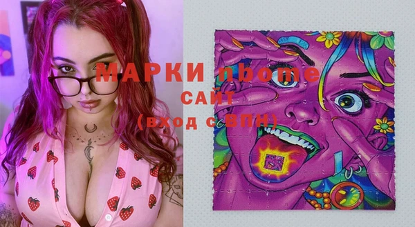 шишки Медвежьегорск