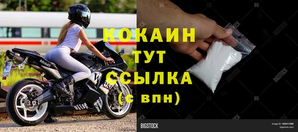 шишки Медвежьегорск