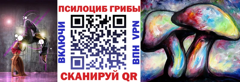 сколько стоит блэк спрут ТОР Псилоцибиновые грибы MAGIC MUSHROOMS Кочубеевское