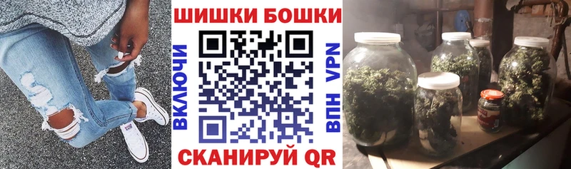 дарнет шоп  Кочубеевское  Канабис сатива 